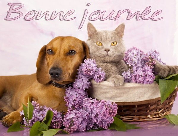 Belle Journée ...